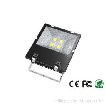 200W LED Outside Flood Lights With Bridgelux MEANWELL Drive